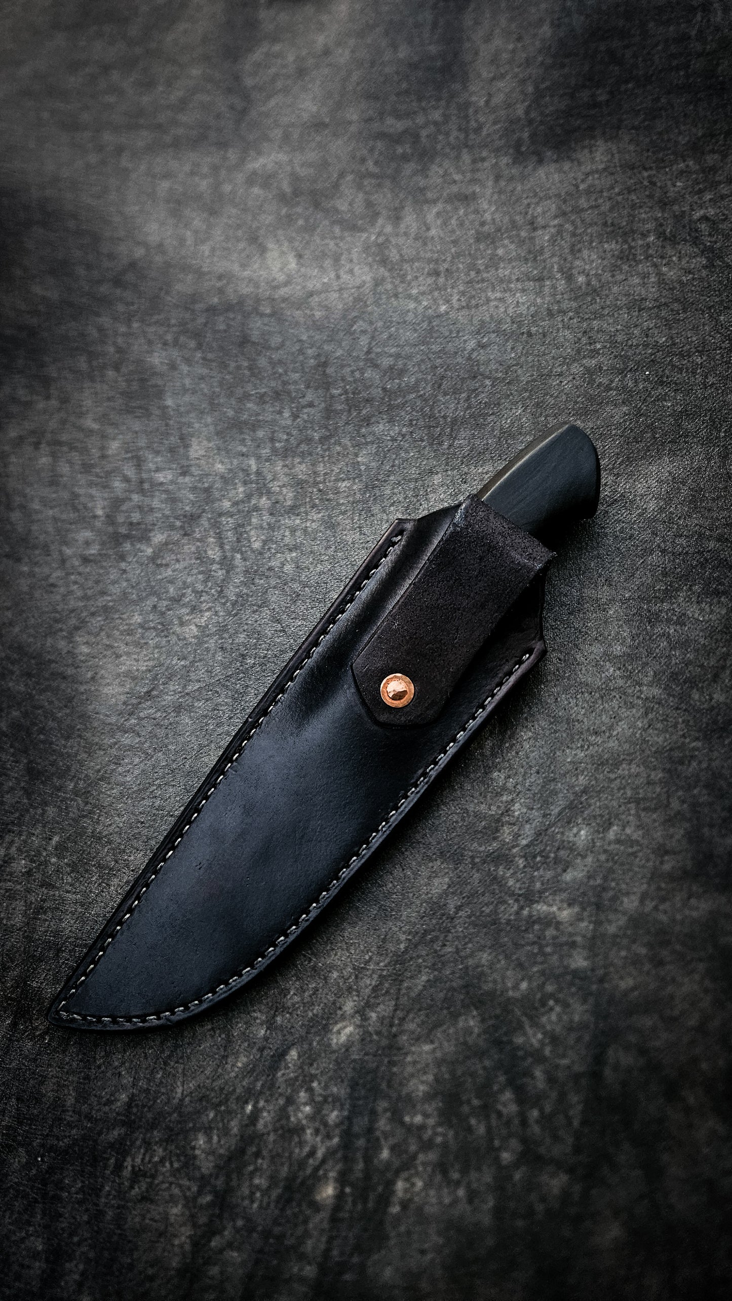 The Fiddleback