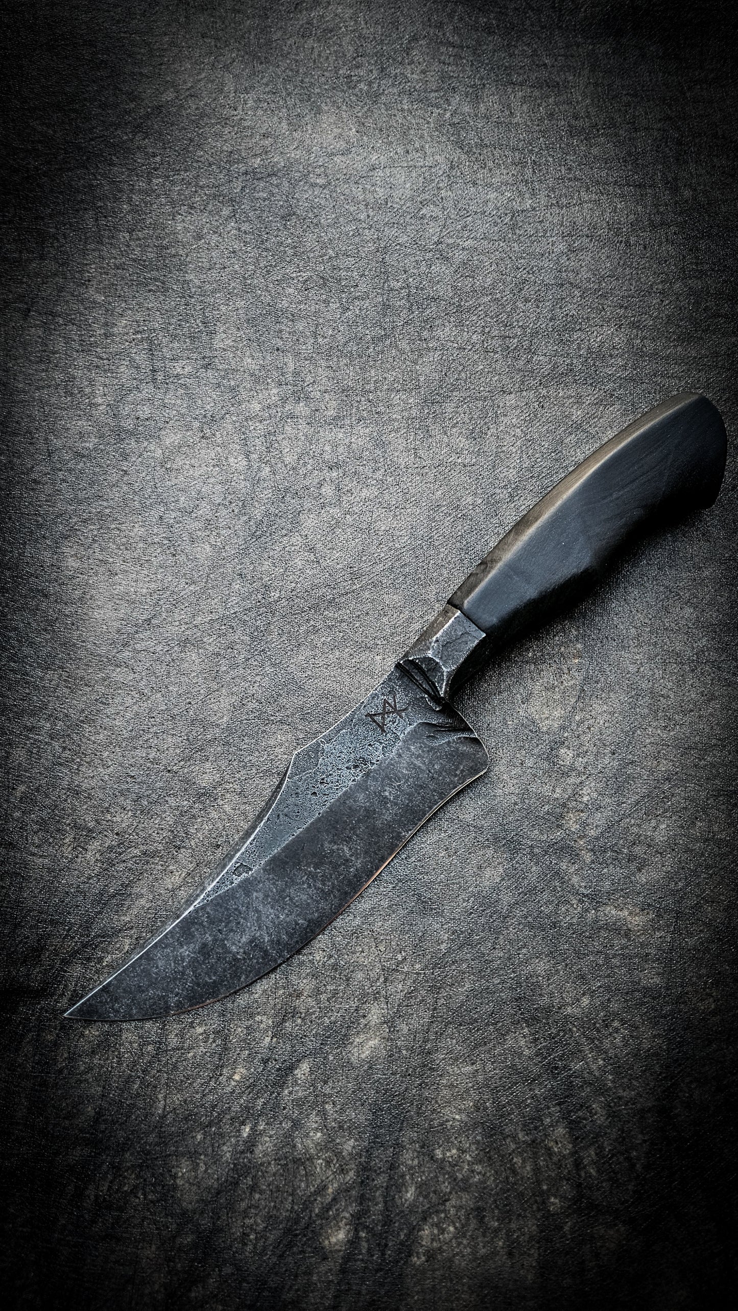 The Fiddleback