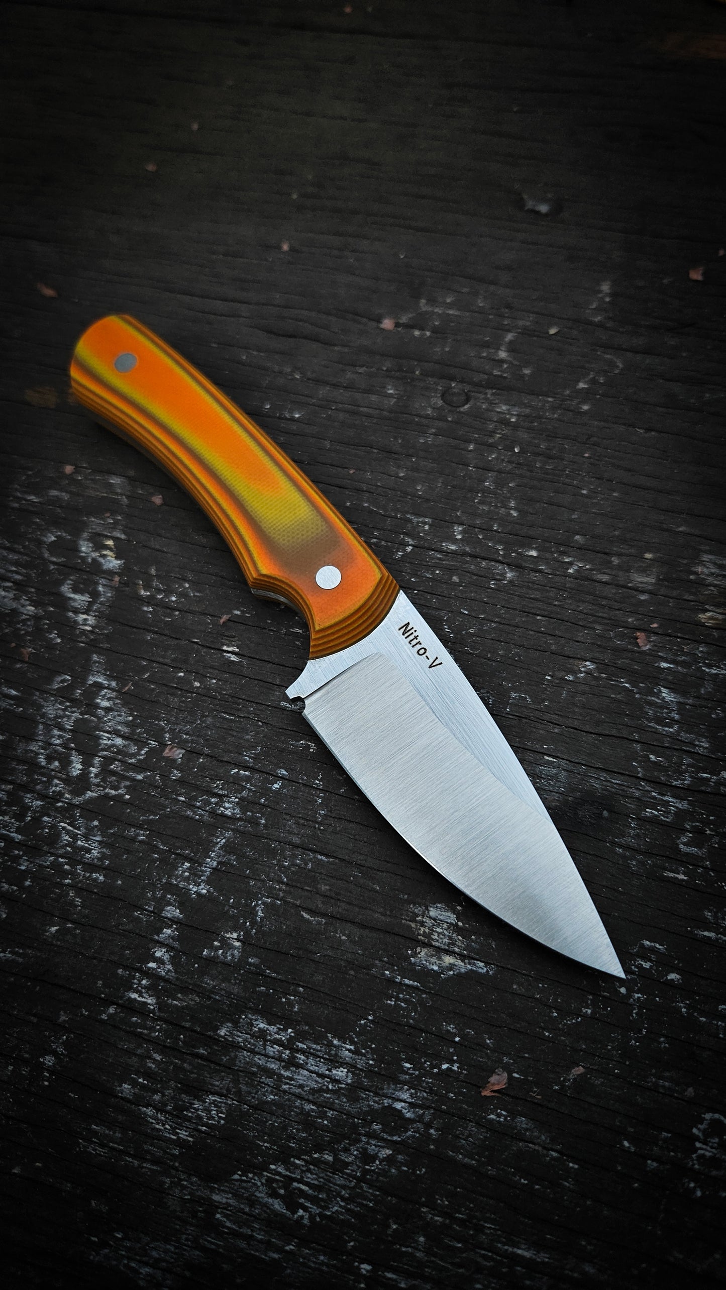 The Condor